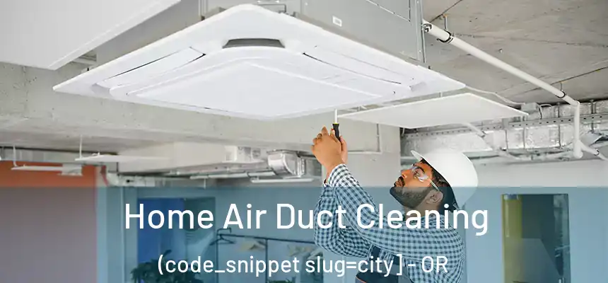  Home Air Duct Cleaning (code_snippet slug=city] - OR