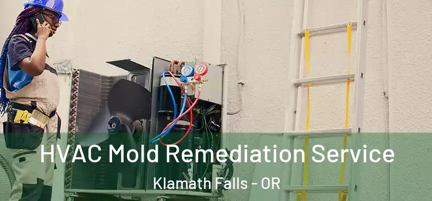  HVAC Mold Remediation Service Klamath Falls - OR