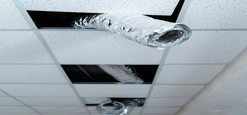 Our Air Duct Pet Hair Removal Services in Klamath Falls, OR