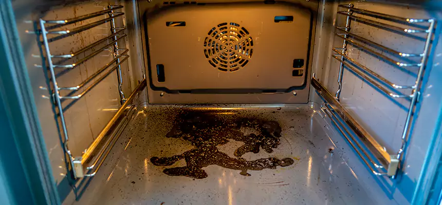 Our Dryer Vent Mold Cleaning Services in Klamath Falls, OR