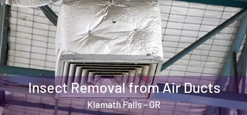 Insect Removal from Air Ducts Klamath Falls - OR