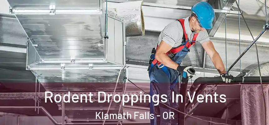  Rodent Droppings In Vents Klamath Falls - OR