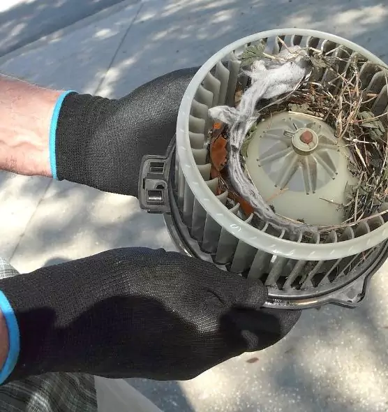 About Air Duct Rat Removal in Klamath Falls, OR