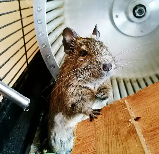 Why Homeowners & Businesses Trust Us Klamath Falls, OR